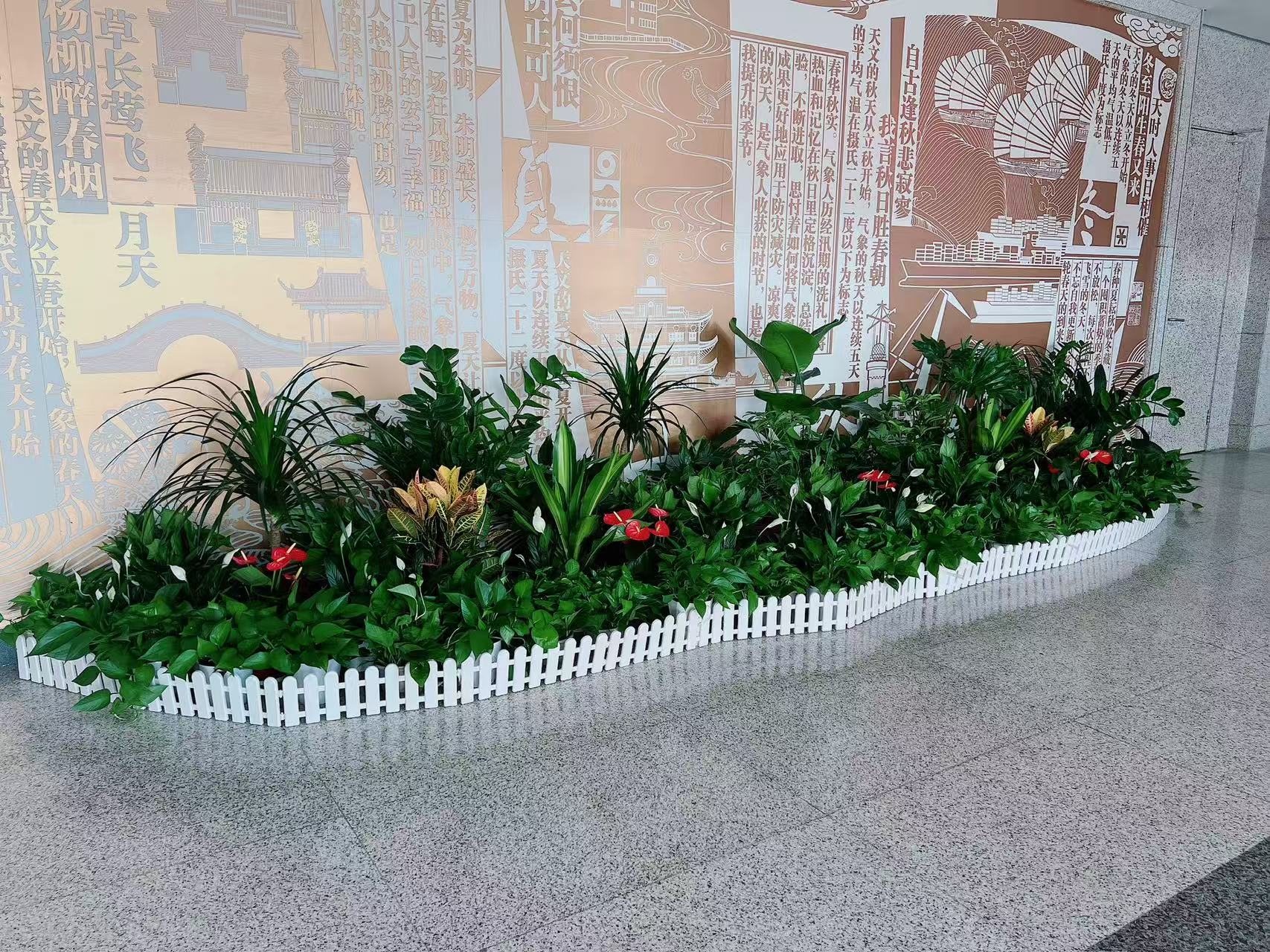 宁波江北花卉租摆专业呈现，尽显花卉独特风情